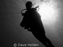 Daylight by Dave Holden 
